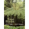KNYGA Mark F Large Tree Ferns