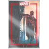 KNYGA Marvel Portfolio of Alex Maleev