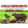 KNYGA Mary Angelon Young Animales Sorprendentes / Amazing Animals - English &amp; Spanish Bilingual Edition