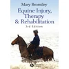 KNYGA Mary Bromiley Equine Injury, Therapy and Rehabilitation