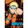 KNYGA Masashi Kishimoto Naruto (3-in-1 Edition), Vol. 13