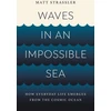 KNYGA Matt Strassler Waves in an Impossible Sea, How Everyday Life Emerges from the Cosmic Ocean