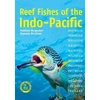 KNYGA Matthias Bergbauer Reef Fishes of the Indo-Pacific (2nd edition)