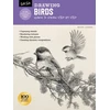 KNYGA Maury Aaseng Drawing: Birds
