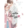 KNYGA Megumi Morino Condition Called Love 4