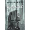 KNYGA Melvin Burgess Lost Witch