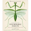 KNYGA Michael S Engel Innumerable Insects