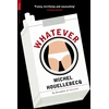 KNYGA Michel Houellebecq Nesvarbu