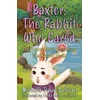 KNYGA Michelle Dawn Sullivan Baxter: The Rabbit Who Cared
