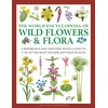 KNYGA Mick Lavelle Wild Flowers &amp; Flora, The World Encyclopedia of