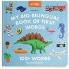 KNYGA Mike Alfaro My Big Bilingual Book of First Words
