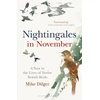 KNYGA Mike Dilger Nightingales in November