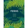 KNYGA Mobee Weinstein Ferns