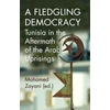 KNYGA Mohamed Zayani Fledgling Democracy