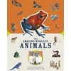 KNYGA Moira Butterfield Paperscapes: The Amazing World of Animals