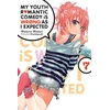 KNYGA My Youth Romantic Comedy Is Wrong, As I Expected, Vol. 7 (light novel)