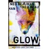 KNYGA Ned Beauman Švytėjimas