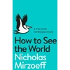 KNYGA Nicholas Mirzoeff How to See the World