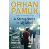 KNYGA Orhan Pamuk Strangeness in My Mind