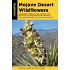 KNYGA Pam Mackay Mojave Desert Wildflowers