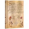 KNYGA paperblanks Flemish Rose (Mira Botanica) Midi Unlined Hardcover Journal