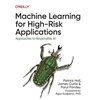 KNYGA Patrick Hall Machine Learning for High-Risk Applications