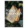 KNYGA Patrick Kavanagh Žalias Fool