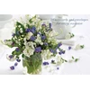 KNYGA Peony Press Card Box of 20 Notecards and Envelopes: Forget-me-nots