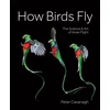 KNYGA Peter Cavanagh How Birds Fly