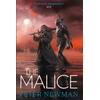 KNYGA Peter Newman Piktybė