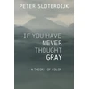 KNYGA Peter Sloterdijk If You Have Never Thought Gray