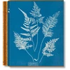 KNYGA Peter Walther Anna Atkins. Cyanotypes