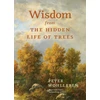 KNYGA Peter Wohlleben Wisdom from the Hidden Life of Trees
