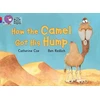 KNYGA Petr Horacek How the Camel Got His Hump