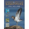 KNYGA Phil Holland Common and Spotted Sandpipers