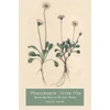 KNYGA Philip Shaw Wordsworth After War