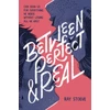 KNYGA Ray Stoeve Between Perfect and Real