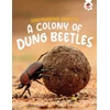 KNYGA Rebecca Storm Discovering Insects: A Colony of Dung Beetles