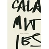 KNYGA Renee Gladman Calamities