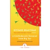 KNYGA Richard Brautigan Confederate General From Big Sur