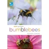 KNYGA Richard Comont RSPB Spotlight Bumblebees