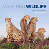 KNYGA Richard Garvey Williams Mastering Wildlife Photography