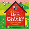 KNYGA Rob Hodgson Is that you, Little Chick?