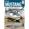 KNYGA Robert Jackson Undifferentiated Flight Craft 19: North American Aviation P-51 Mustang