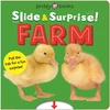 KNYGA Roger Priddy Farm (Slide &amp; Surprise!)