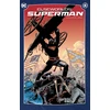 KNYGA Roger Stern Elseworlds: Superman Vol. 1