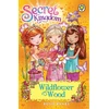 KNYGA Rosie Banks Secret Kingdom: Wildflower Wood