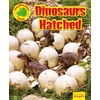 KNYGA Ruth Owen Dinosaurs Hatched!
