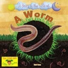 KNYGA Ruth Owen Worm