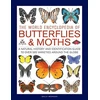 KNYGA Sally Morgan Butterflies &amp; Moths, The World Encyclopedia of